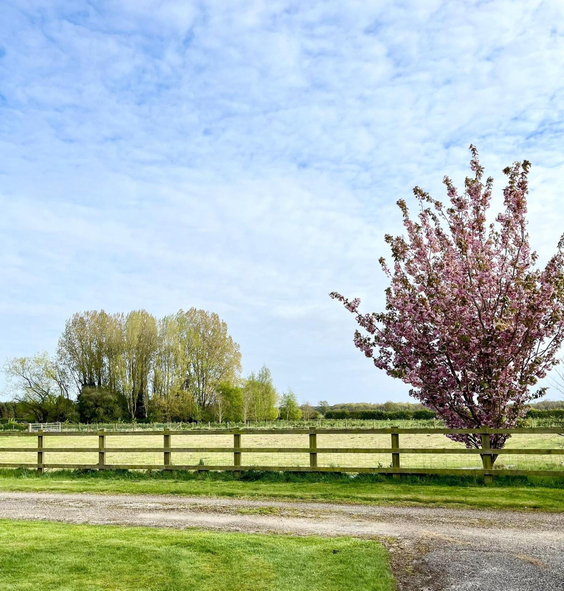 Orchard Hideaway, Bielby, York Apartment Everingham Екстериор снимка